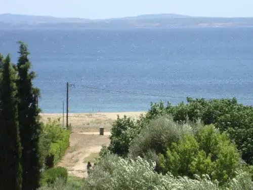 Beach & Waterfront