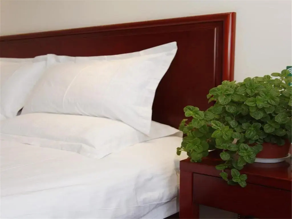 GreenTree Alliance Heilongjiang Province Haerbin Chengde Square Chengde Street Hotel - Général