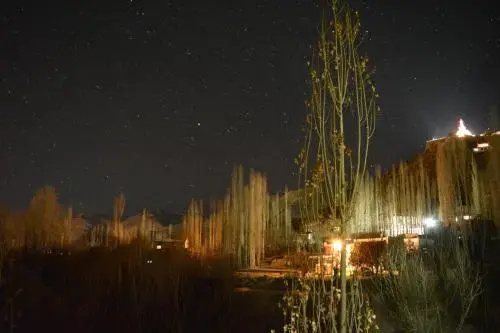 Gomang-Boutique Hotel Ladakh - Général