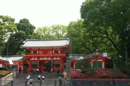 images