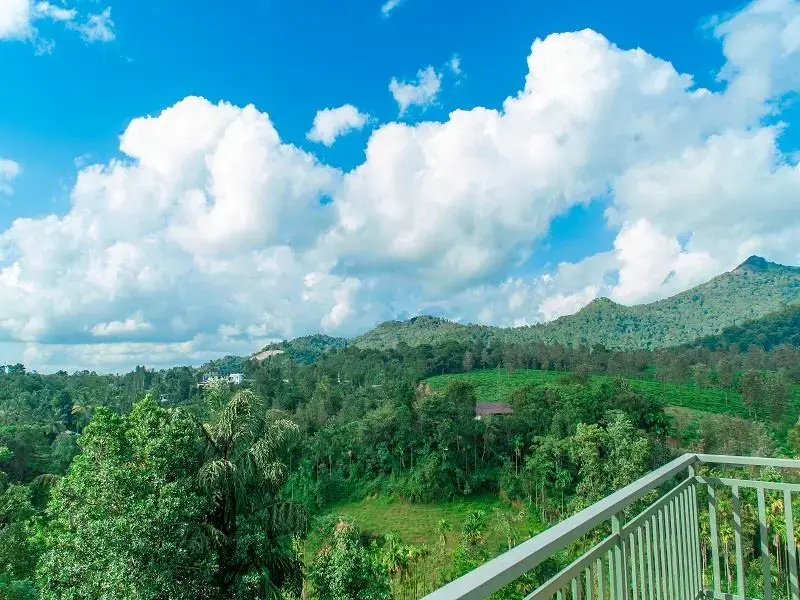 Balcony & Terrace
