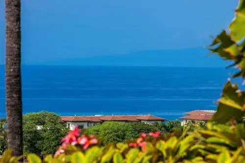Wailea Ekolu #906 - Général
