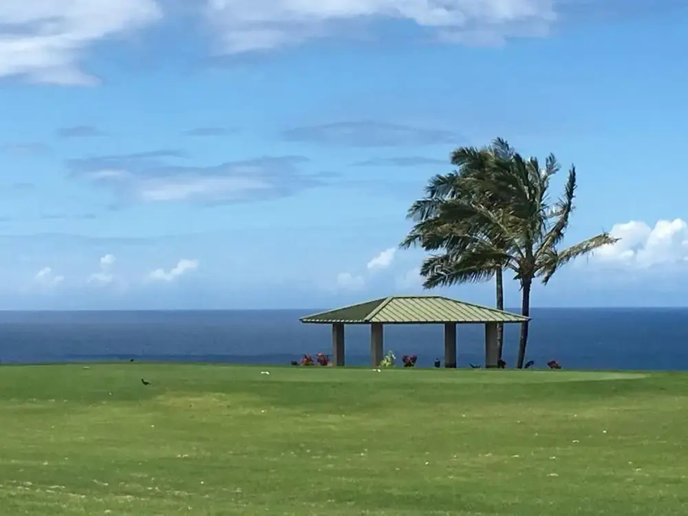 Beach & Waterfront