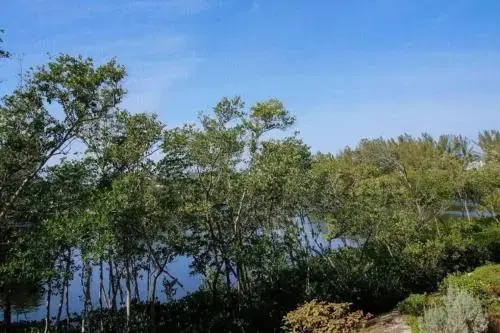 Lake Palms