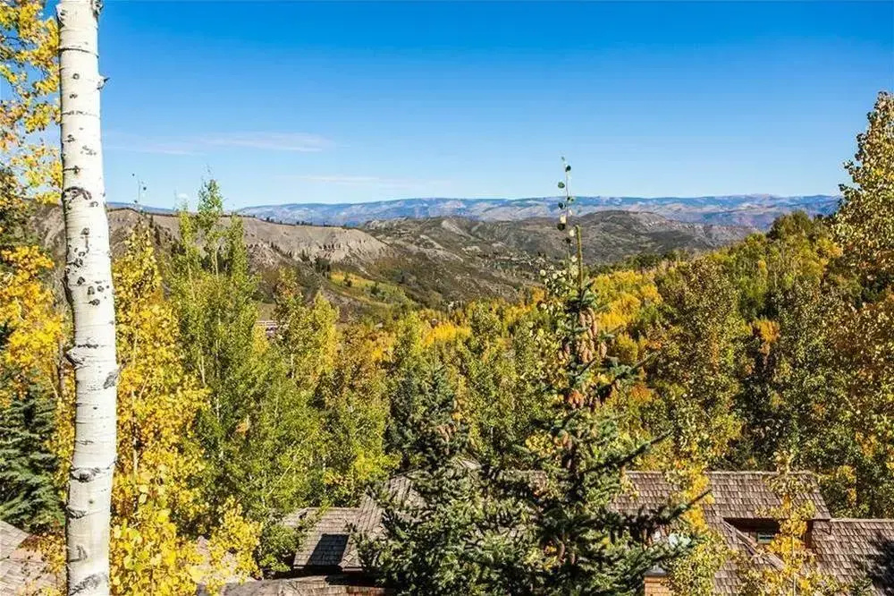 Black Bear Lodge by First Choice Property Management