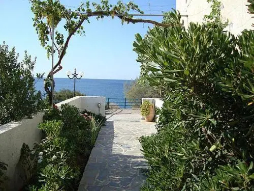 image url