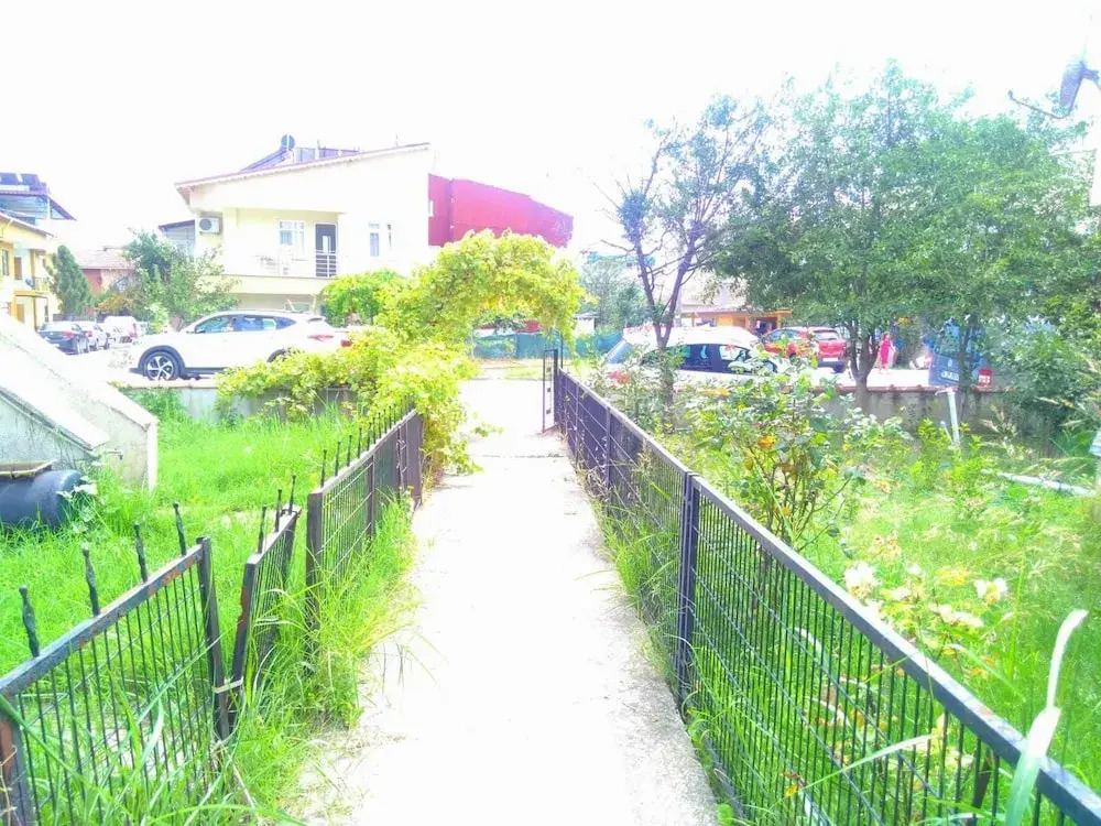 Image 8