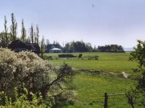 Ferienwohnungen Born
