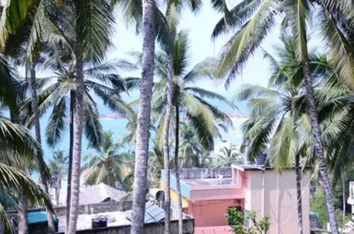 Beach & Waterfront
