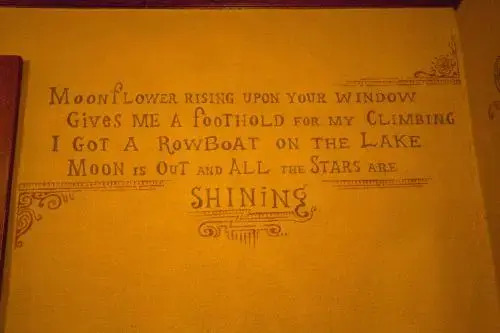 Image 24