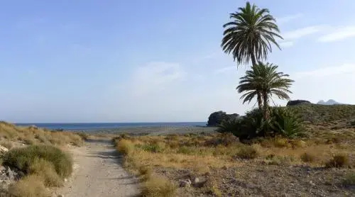Beach & Waterfront