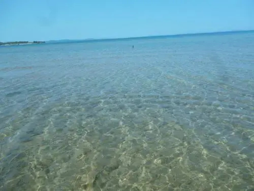 image url