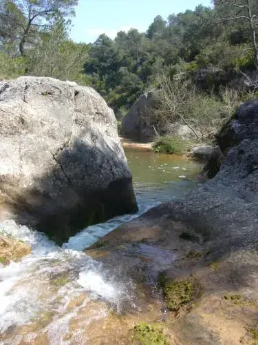 Castell D´Orpí