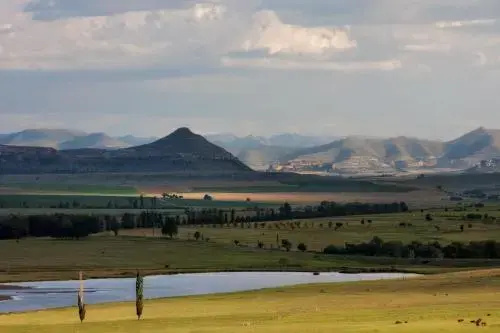 Lavender Hill Country Estate