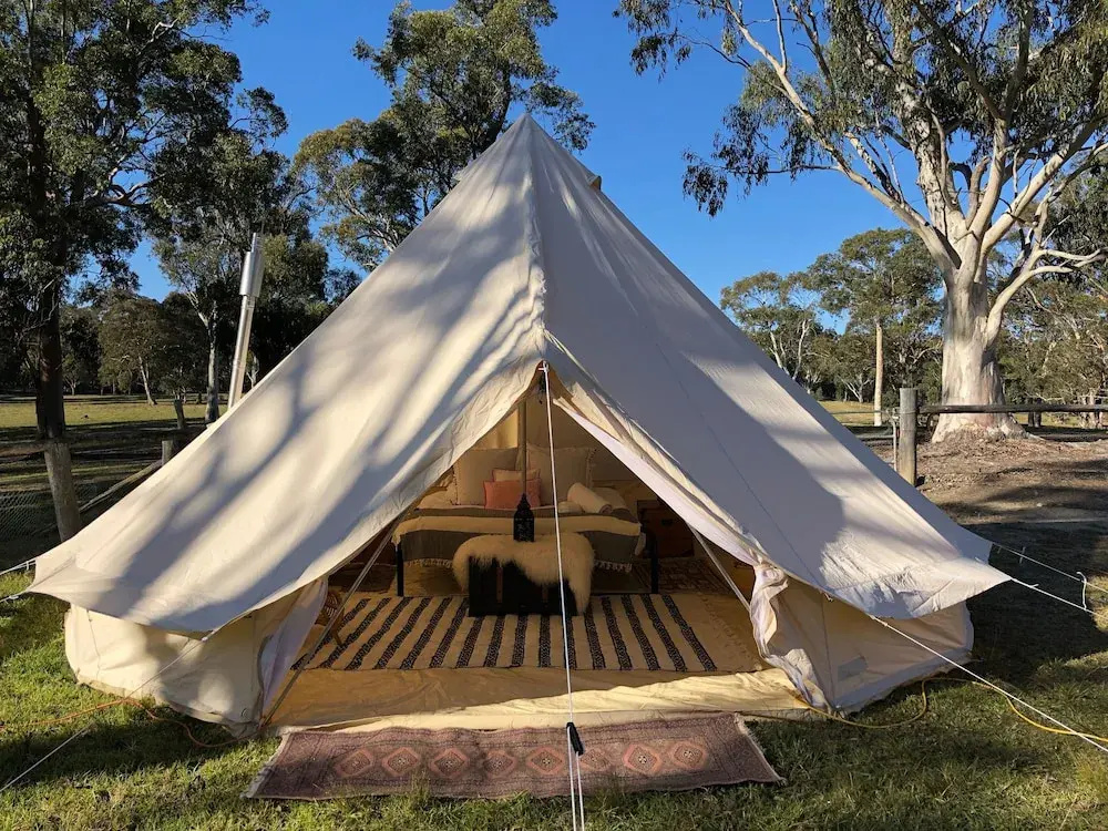 Wild In Style for Glamping