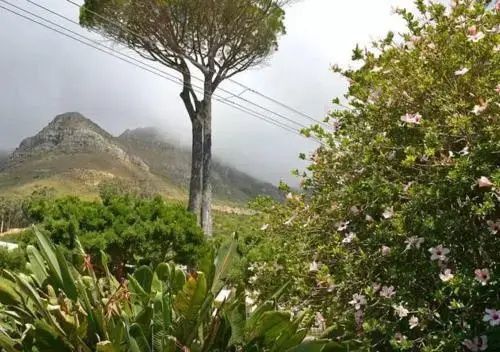 Serenity Lodge