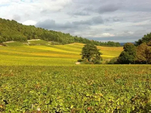 Hameau de Blagny