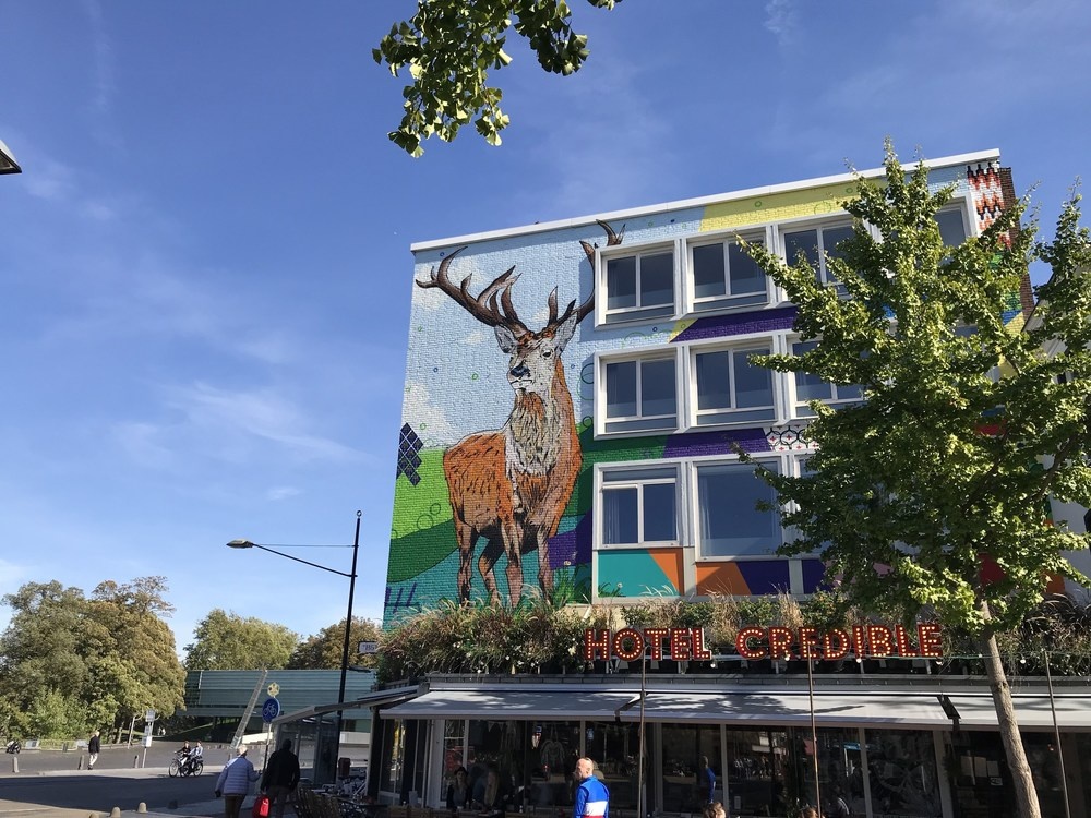 Hotel photo 16