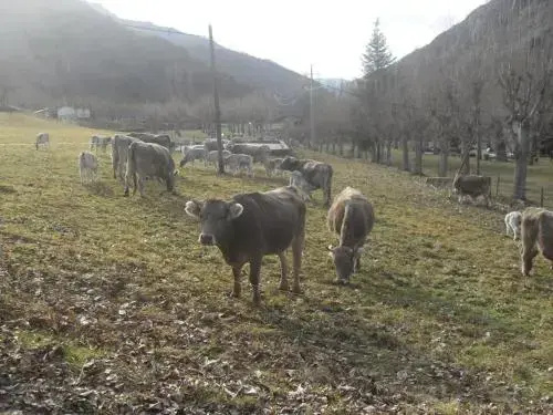 Camping Serra