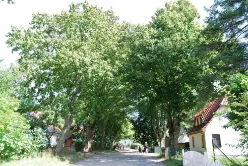 Hotel Enddorn - Général