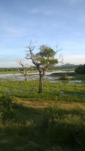 River Side Home — 2
