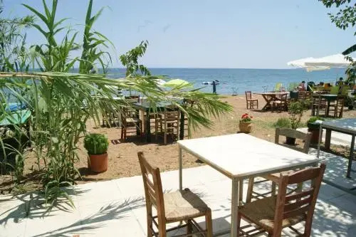 Beach & Waterfront