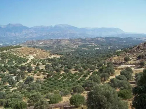 Villas Alexandros - Général