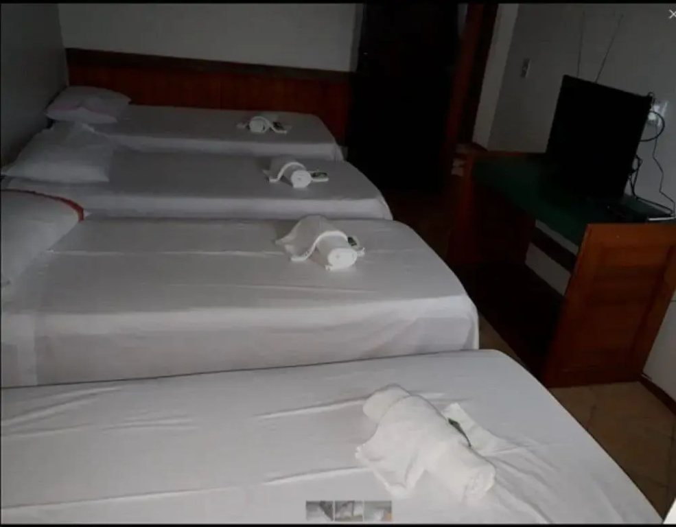 Eco Hotel - 20 minutos de distância do Beto Carrero - фото 3
