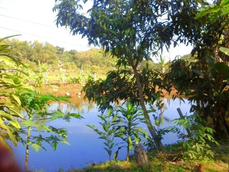 Vesali Resort