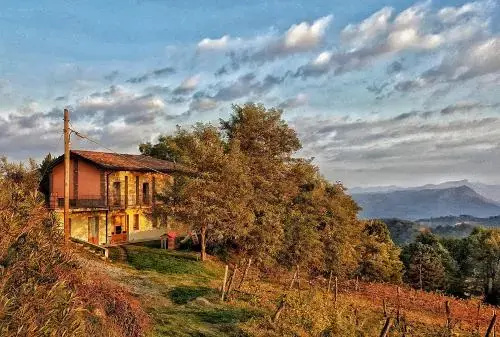 Fattorie Di Montechiaro
