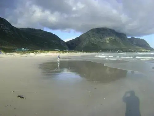 Vlei Studio