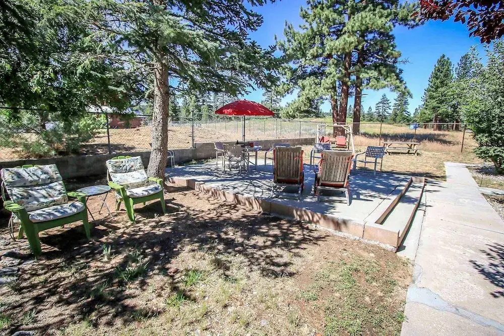 1554 - Owl Pine Cabin