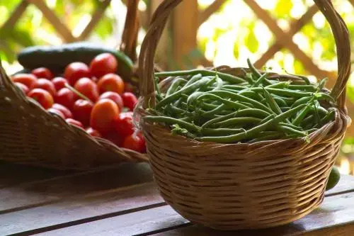 Agriturismo Sorgituro