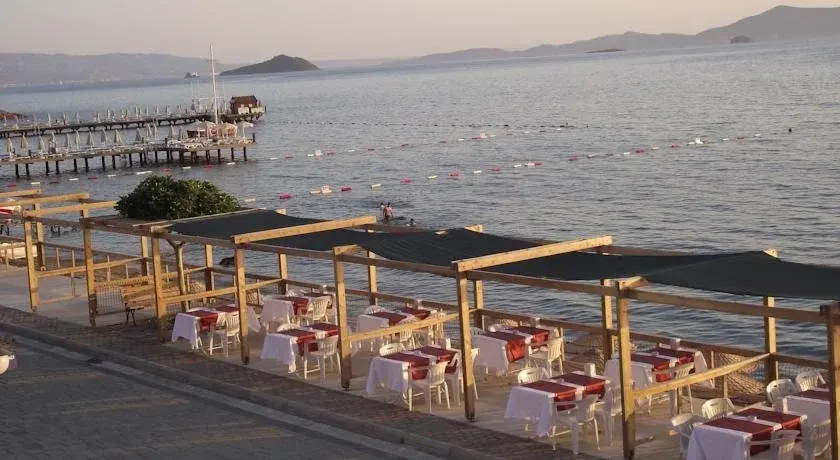 Beach & Waterfront