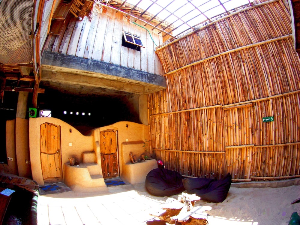 The Rabbit Tree - Hostel