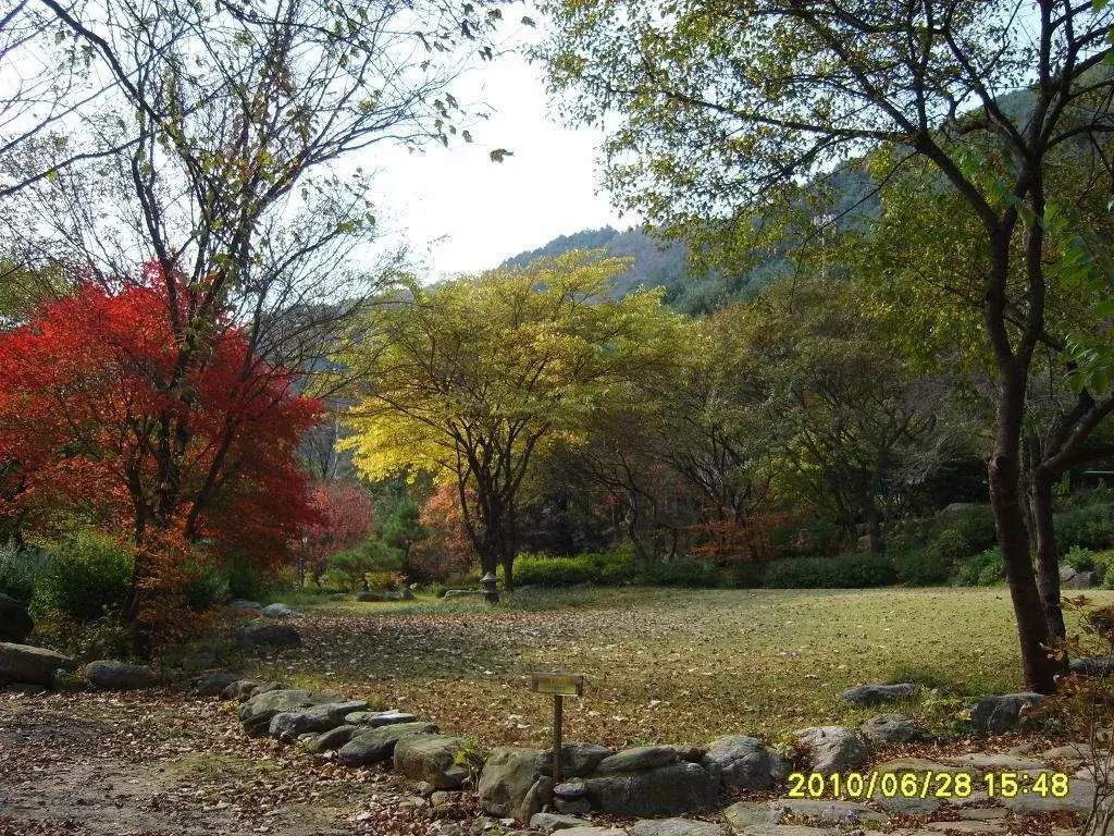 Gapyeong Sky Maru Pension