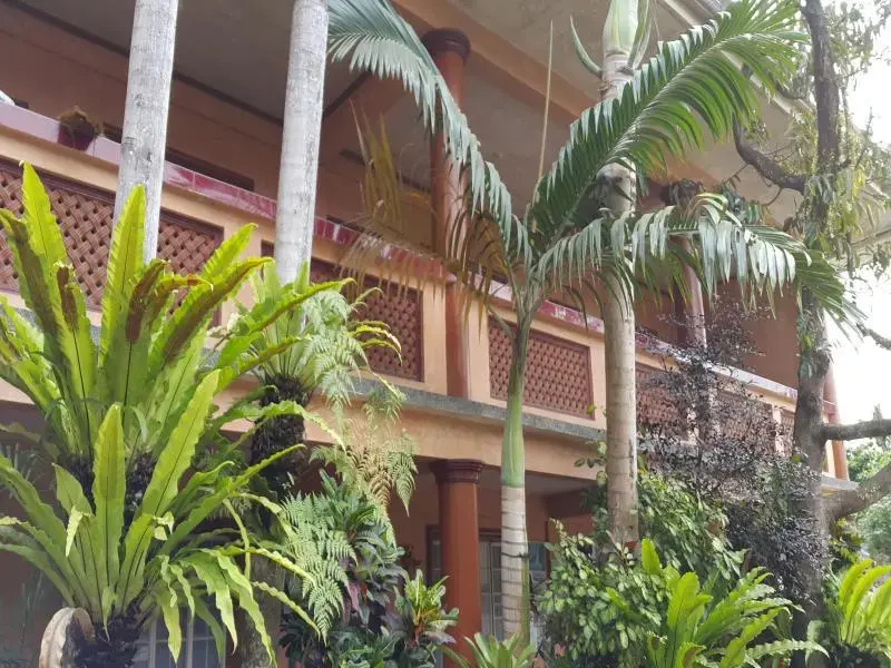 Tropical View Inn and Restaurant