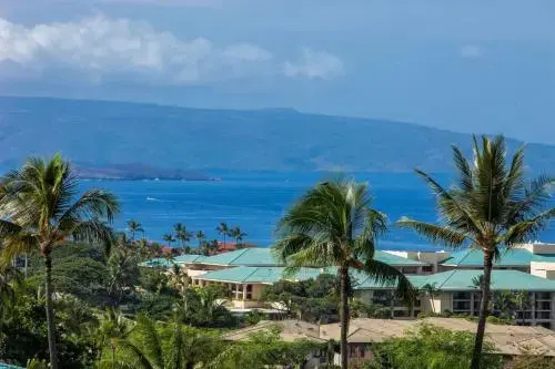 Wailea Ekolu #906 - Général