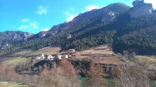 Voir la photo 4 — Le Grillon
