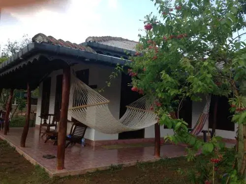 Pleasure Island Guest House