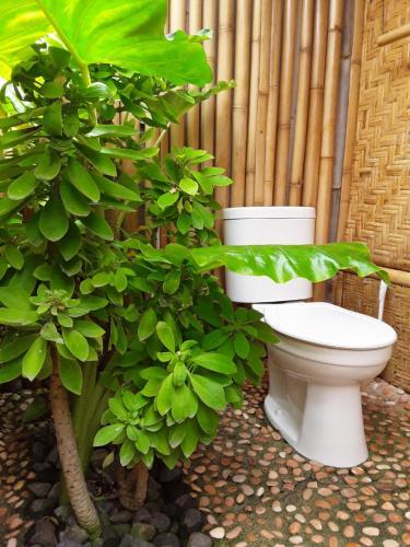 Отель My Garden Cafe, фото 7