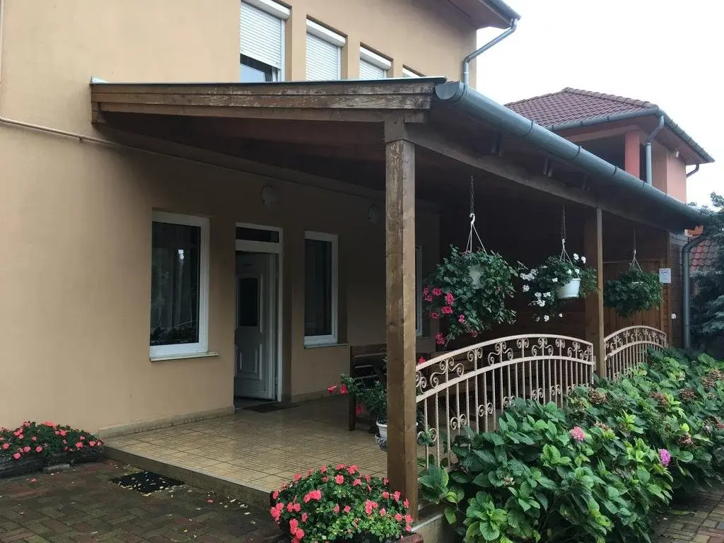 Vci Panzi