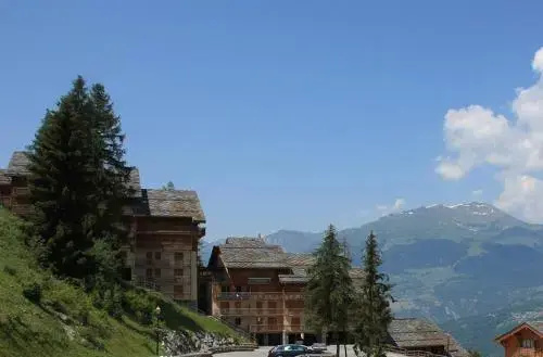 Résidence Goélia Les Chalets de Wengen - Général