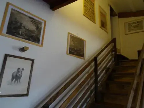 Agriturismo Podere Tegline - Général