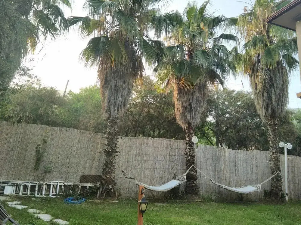 Pisilis Hotel