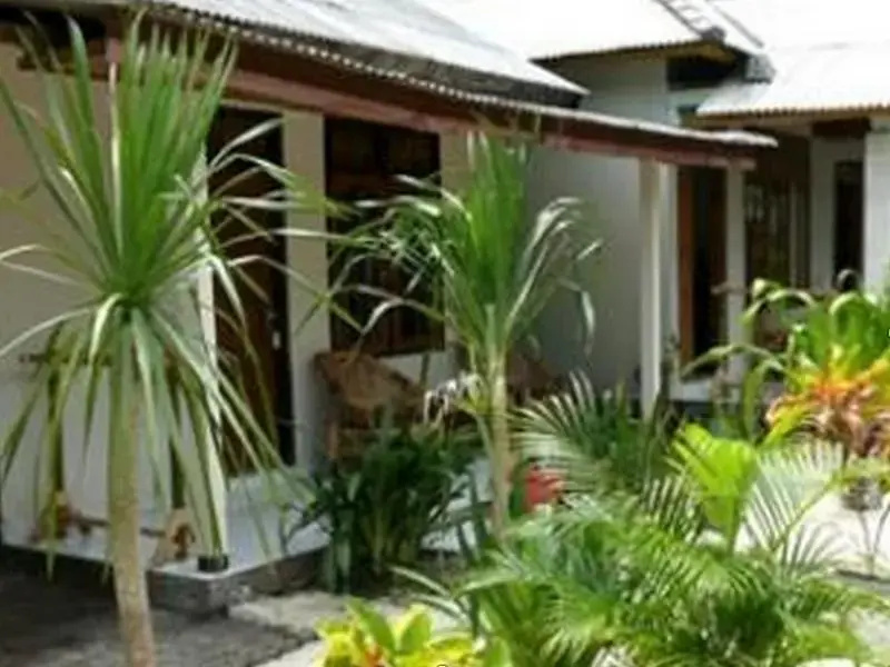 Wrap A Snapper Bungalow