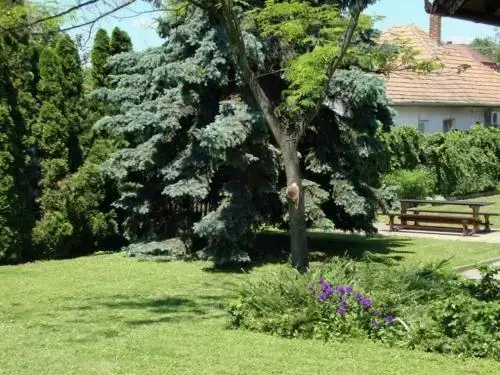 Gyöngyvirág Vendégház - фото 4