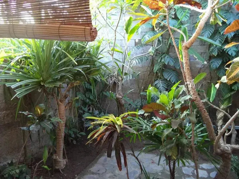 Hoky Homestay Amed