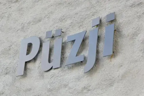 Ferienwohnung Chalet Puzji