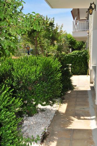 Dionisos Apartments  - pic #1